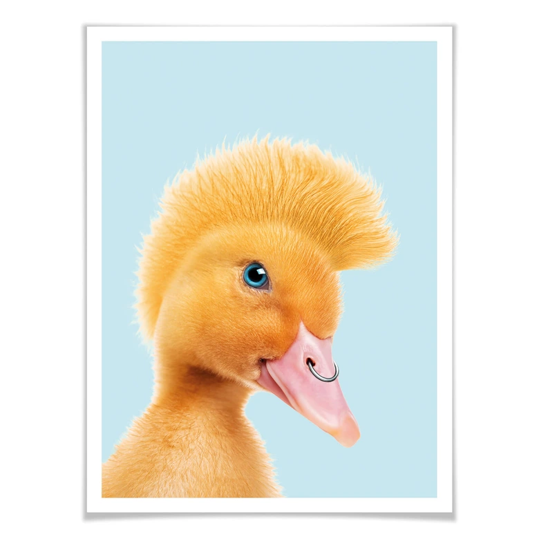 Poster Loose - Canard rebelle 
