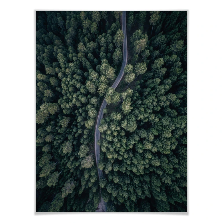 Póster López - La vista desde arriba: Carretera en el bosque 