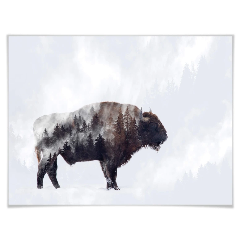 Poster Beáta - Der Bison 
