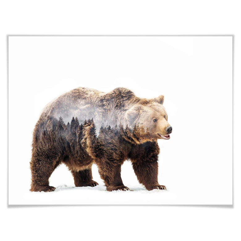 Poster Beáta - Der Bär 