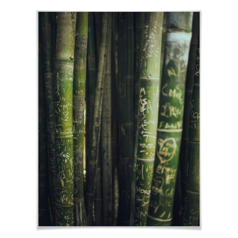 Poster Grüner Bambus 