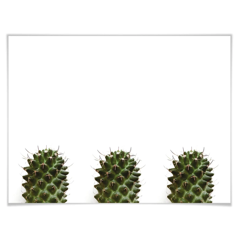 Poster Mein kleiner Kaktus - Trio 