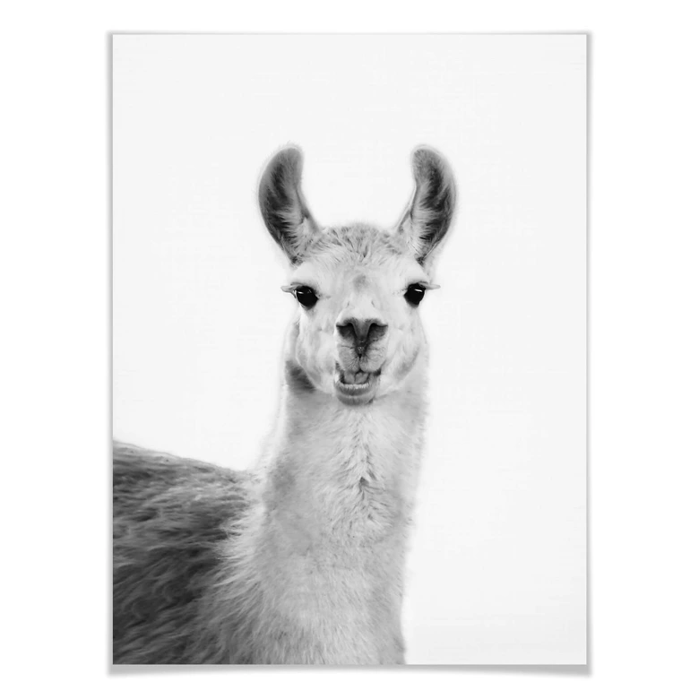 Poster Sisi & Seb - Happy Lama 