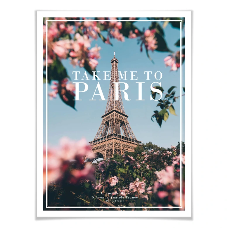 Poster - Take me to Paris 