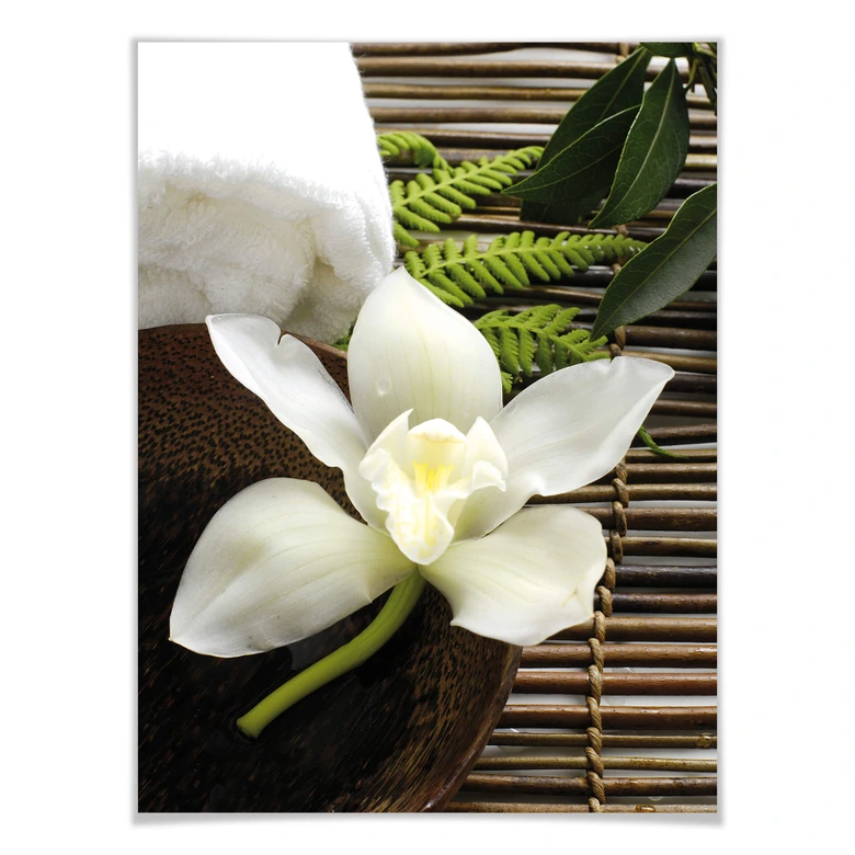 Poster Wellness Orchidee 