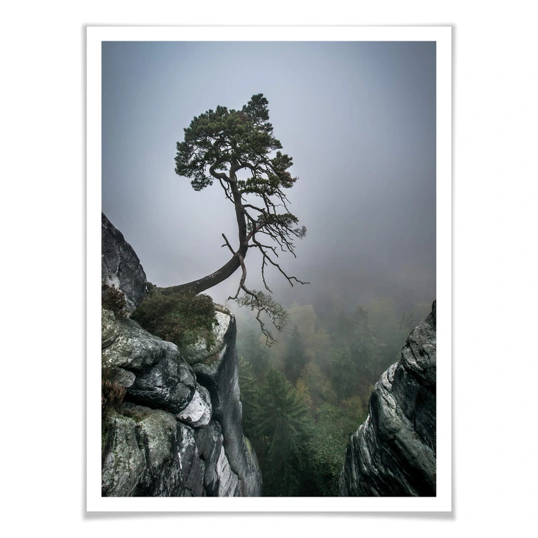 Poster Wonisch - Kräfte der Natur 