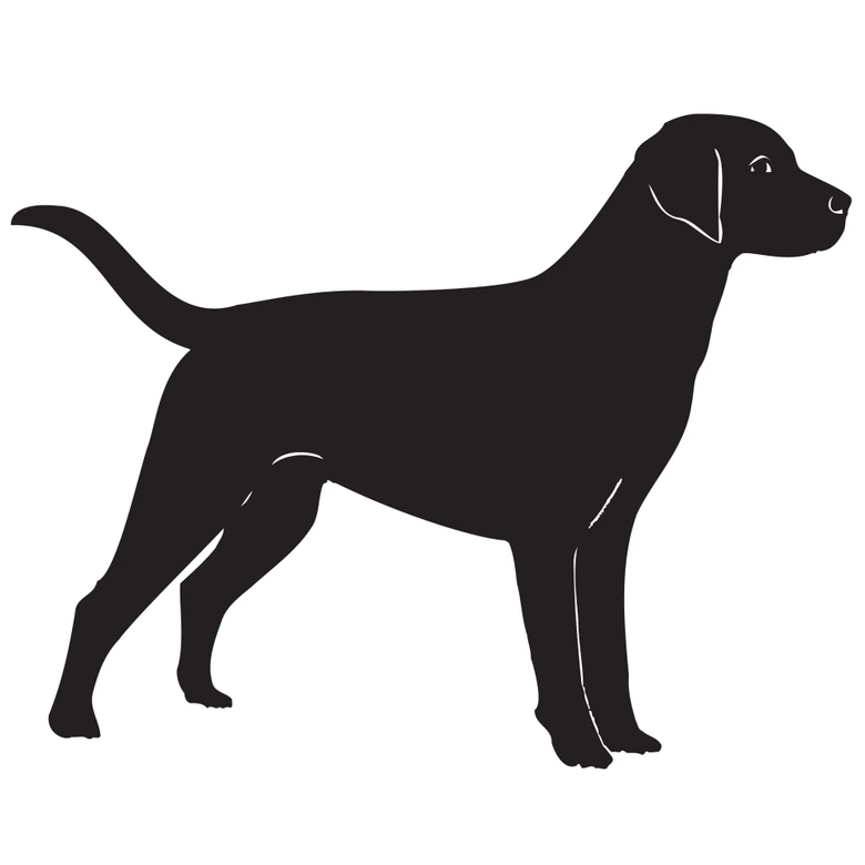 Wandtattoo Labrador 