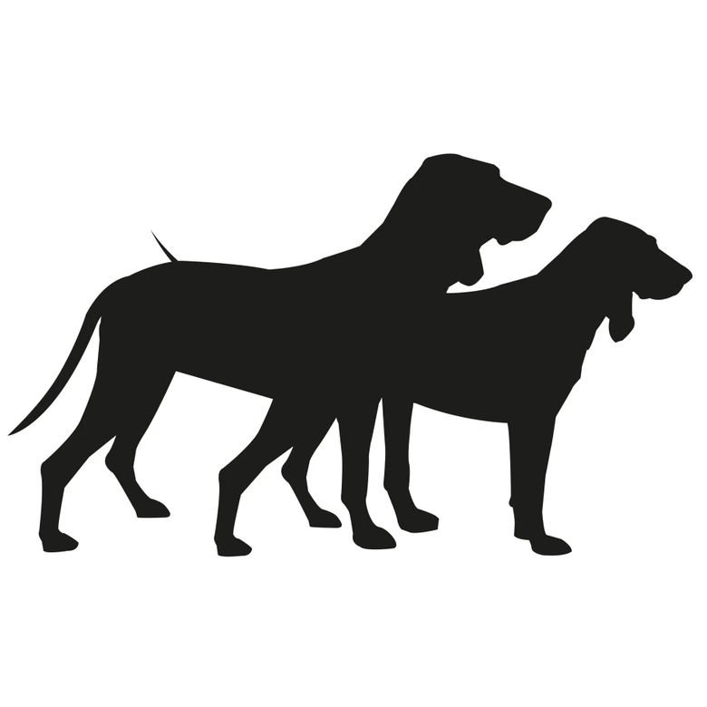 Sticker mural - Chiens 