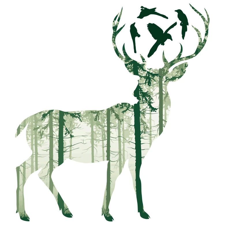 Sticker mural - Cerf vert 