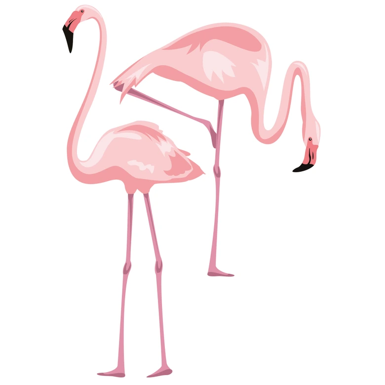 Sticker mural - Couple de flamants roses 