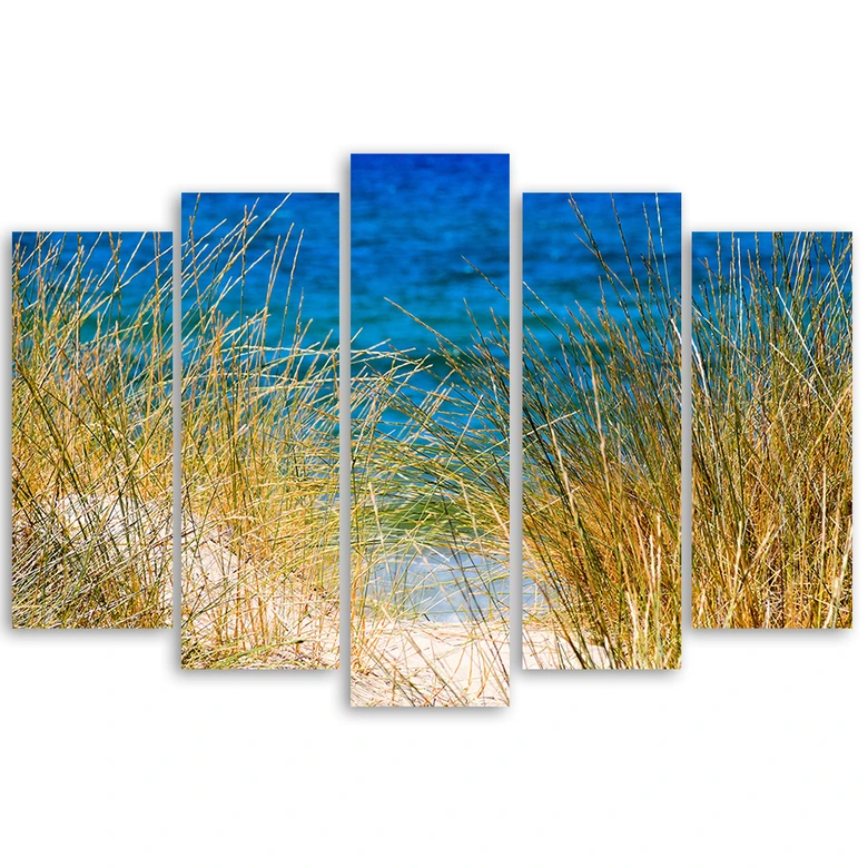 Wandbild 5-teilig, Strand See Gras Natur 