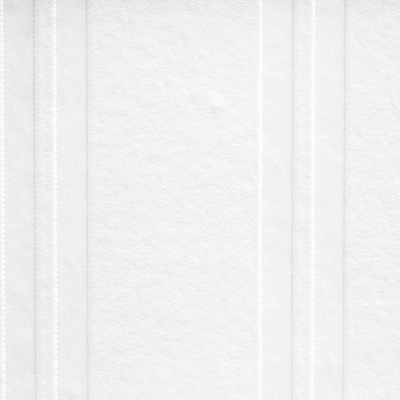 Papier peint intissé recouvrable A.S. Création Meistervlies Pro Protect 2 blanc, recouvrable 