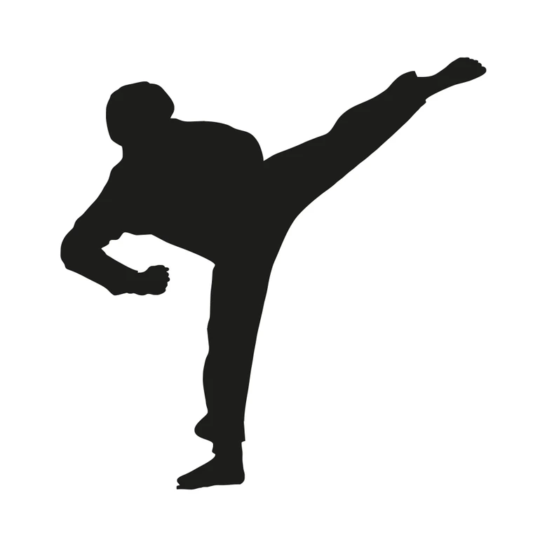 Kickbokser 
