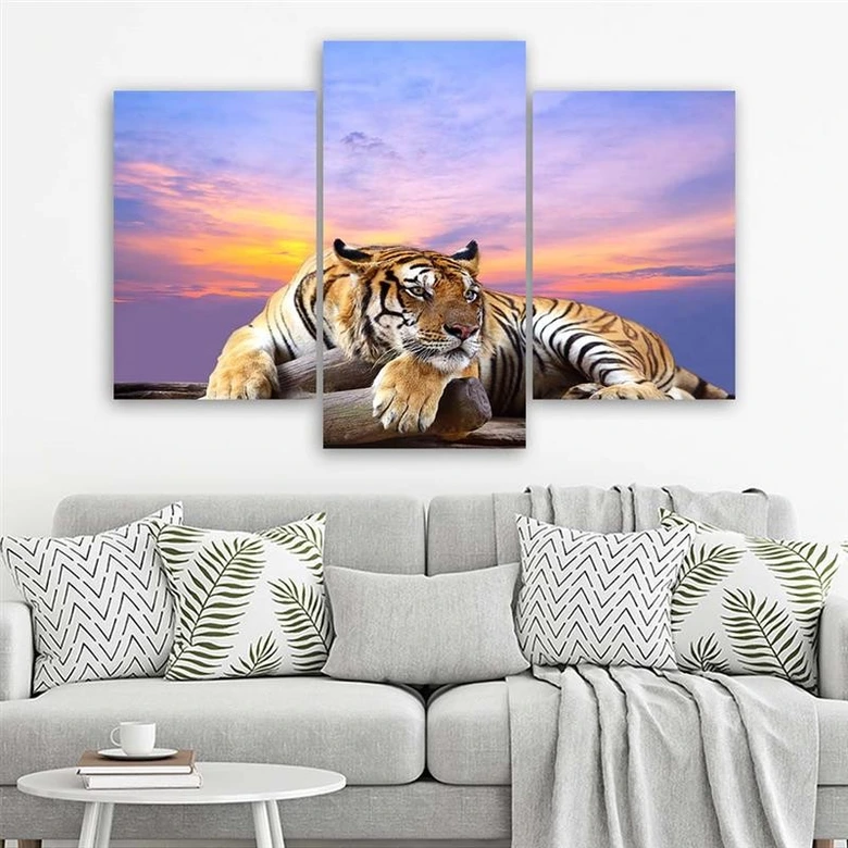 Leinwandbild 3-teilig, Tiger Wild Tiere 