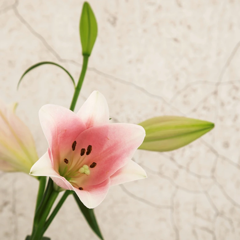 Papier peint effet pierre beige Papier peint photo pour salon chambre 2.70 x 2.12 cm 