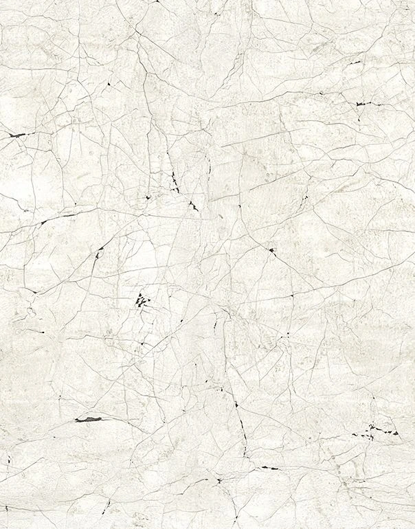 Papier peint effet pierre grise Papier peint photo pour salon chambre 2.70 x 2.12 cm 