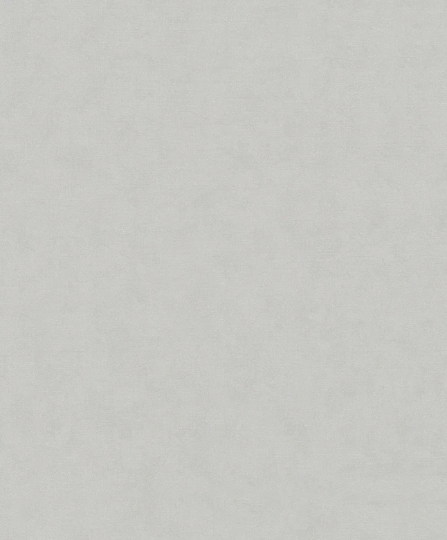 Papier peint intissé à l'aspect et à la texture monochromes modernes en gris, beige uni 