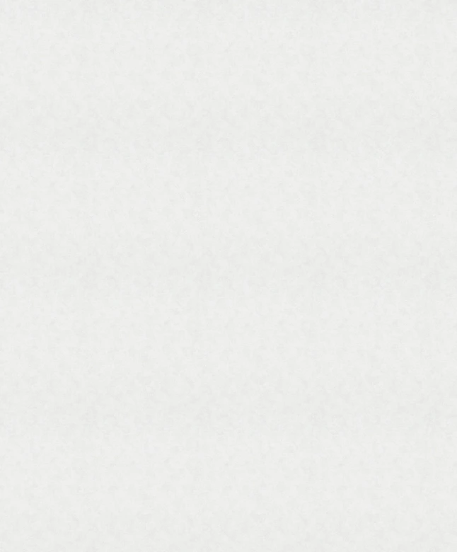 Papier peint intissé d'aspect et de texture monochrome moderne en blanc, gris uni 