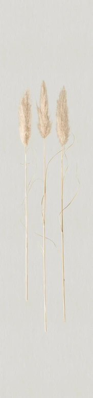 non-woven tapet naturlig opulens hvid grafik 3,30 x 0,70 cm 