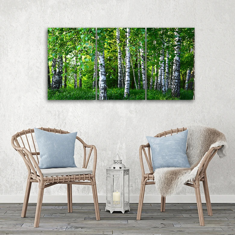 Leinwandbild 3-teilig, Birkenwald Grün 