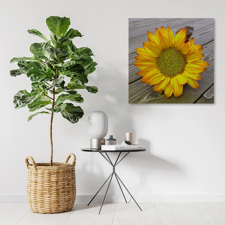 Leinwandbild, Gelbe Sonnenblume 