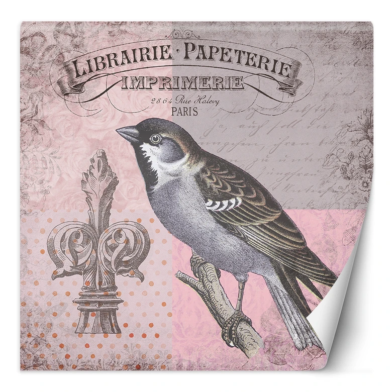 Fototapete, Vogel Natur auf rosa Hintergrund Shabby Chic - Andrea Haase 