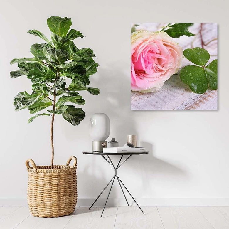 Leinwandbild, Rose Blumen Natur 
