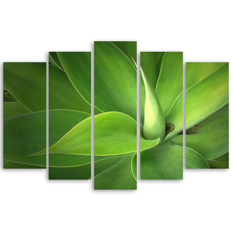 5-delige canvas print groene bladplanten 