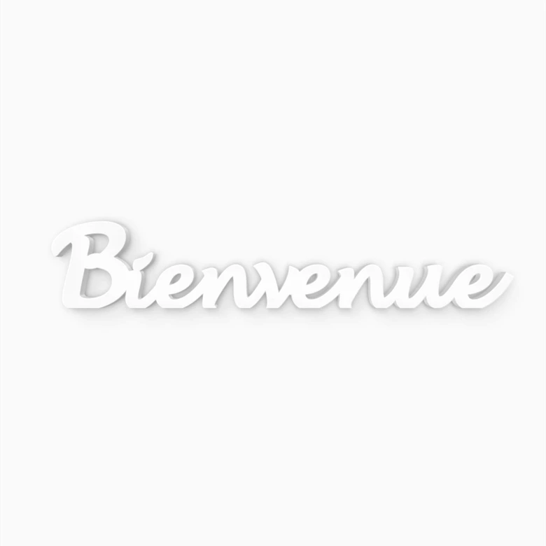 Decoratieletters Bienvenue 