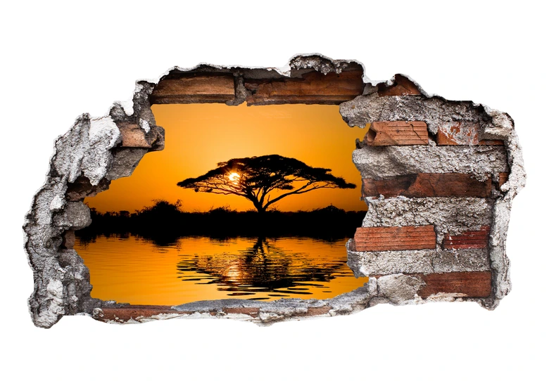 3D wall sticker Africa 