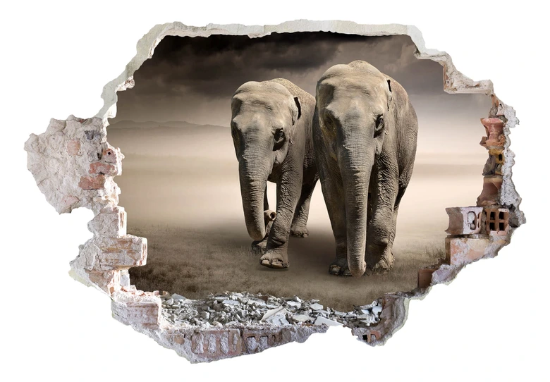 3D Muursticker Twee Olifanten 