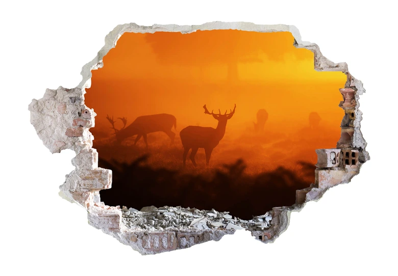 Sticker mural 3D Cerfs sous le coucher de soleil 