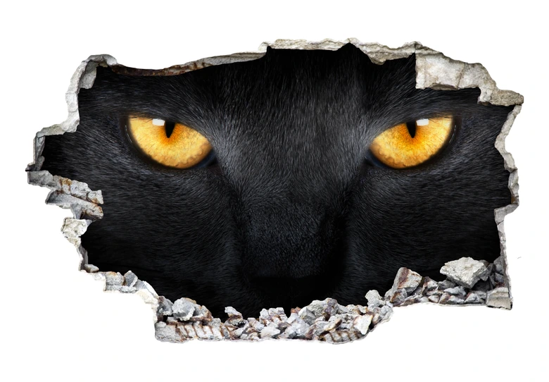 3D Wandtattoo Katzenaugen 