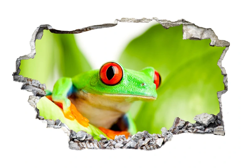 Sticker mural 3D Grenouille 