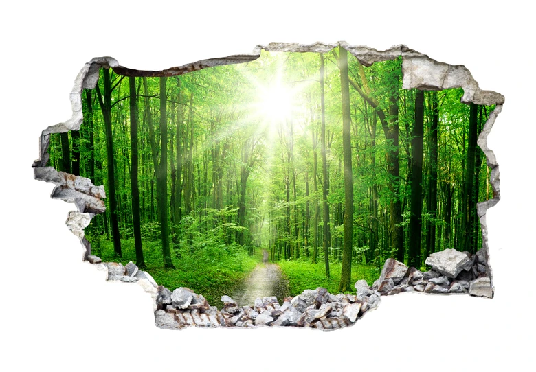 3D wall sticker sunny forest 