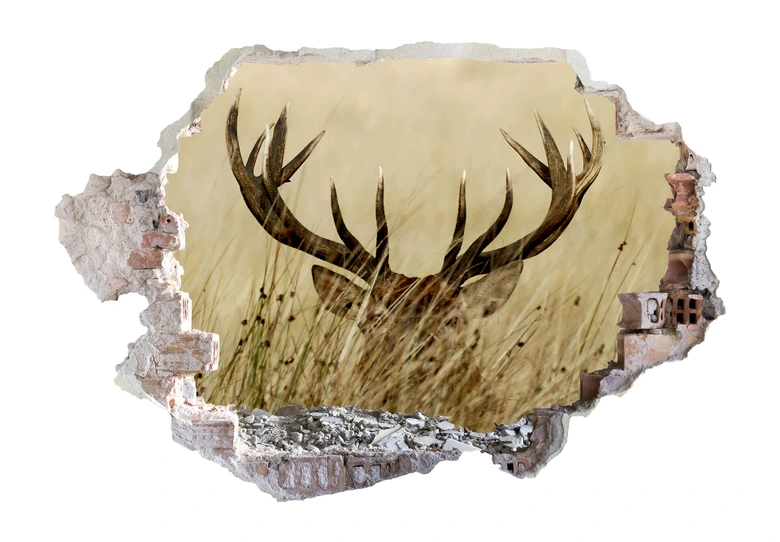 3D Wandtattoo Wachsamer Hirsch 