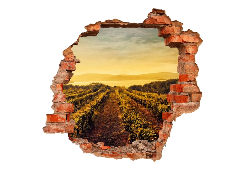 3D Wandtattoo Weinreben im Sonnenuntergang 