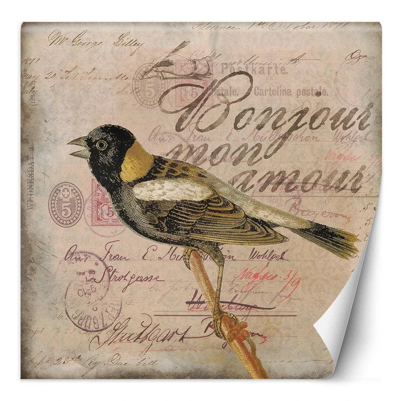 Fototapete, Shabby Chic Beige Hintergrund Vogel Tiere - Andrea Haase 