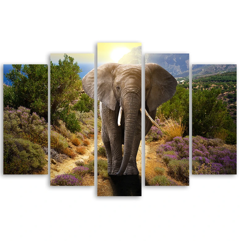 Leinwandbild 5 teilig, Elefanten-Safari Afrika Natur 