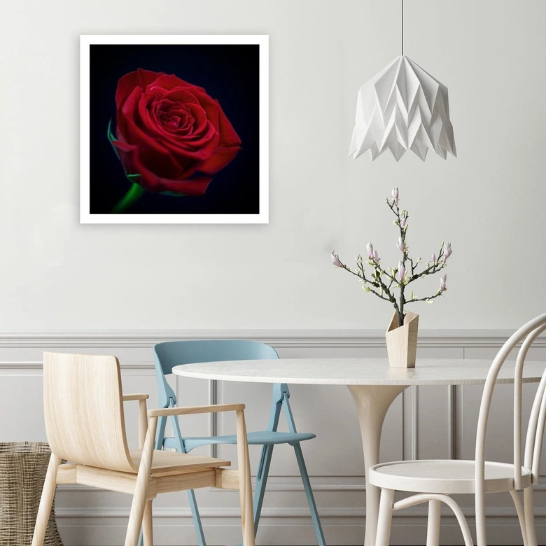 Leinwandbild, Rote Rose in der Dunkelheit 