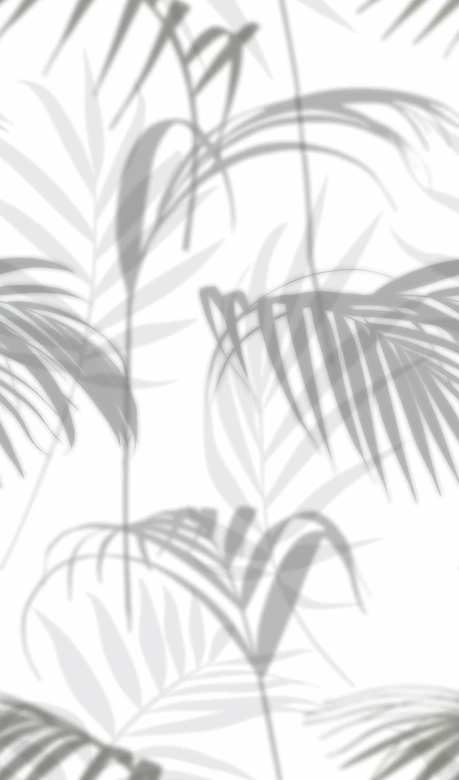 Fototapete in Blattmotiv Grau ,Floral 2,70 x 1,59 m 