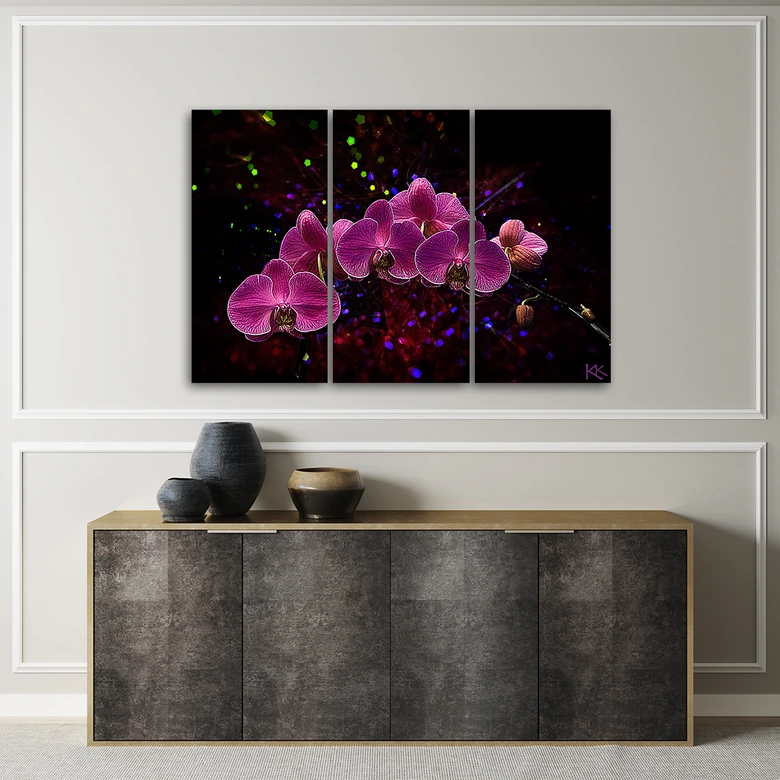 Leinwandbild 3 teilig, Orchidee auf einem dunklen Hintergrund 