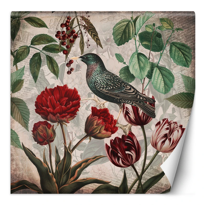 Fototapete, Shabby Chic Vogel Pflanzen Natur - Andrea Haase 