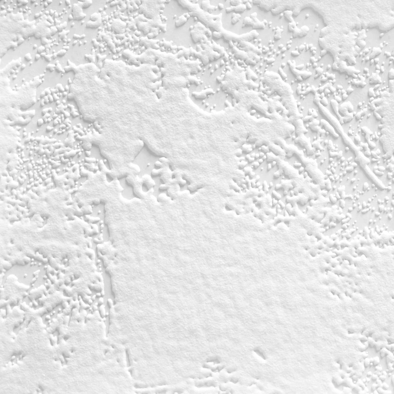 A.S. Création Vliestapete Meistervlies Strukturtapete in Putzoptik überstreichbar weiß 