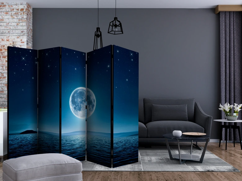 Paravent, Raumteiler freistehend, Trennwand - Moonlit night II, 5-teilig - einseitig bedruckt - 225x172 cm 