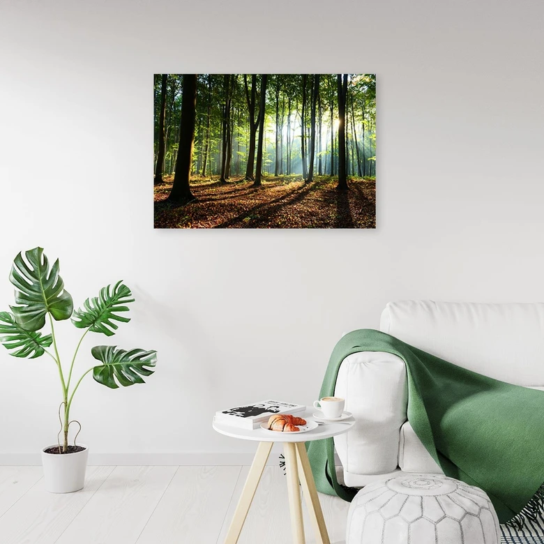 Leinwandbild, Wald bei Sonnenaufgang 