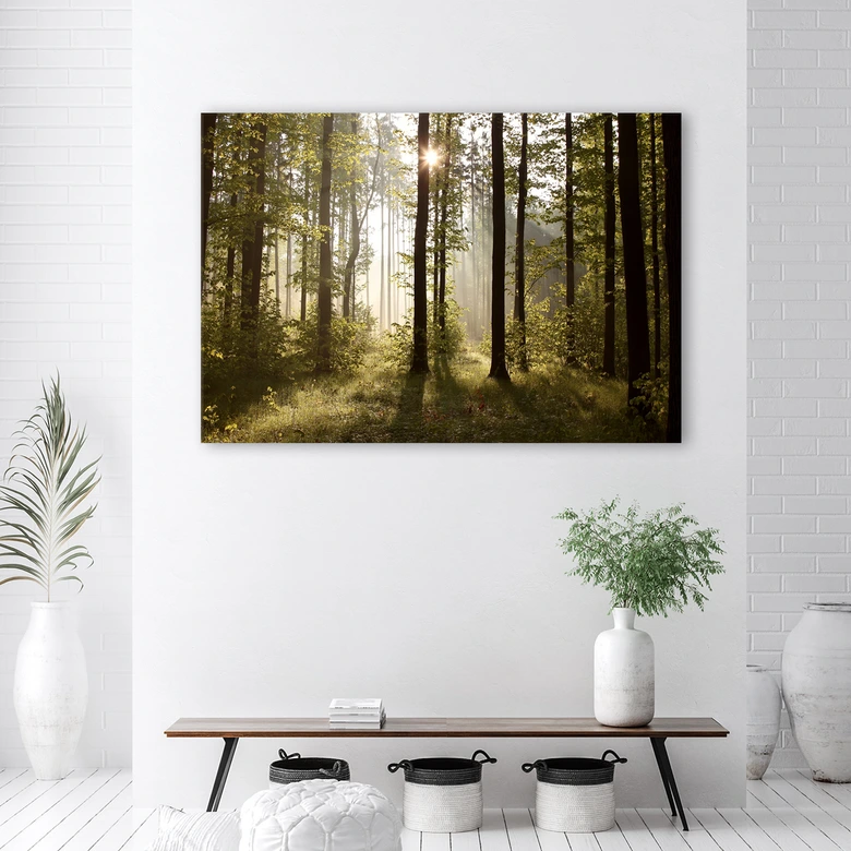 Leinwandbild, Morgen im Wald 