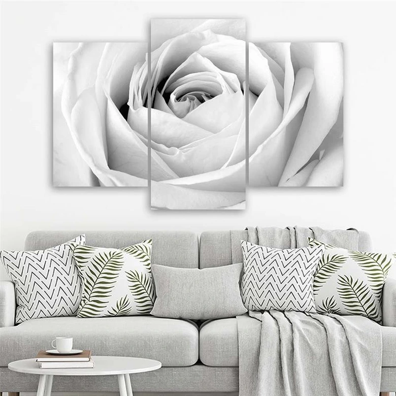 Leinwandbild 3-teilig, Weiße Rose Blumen 
