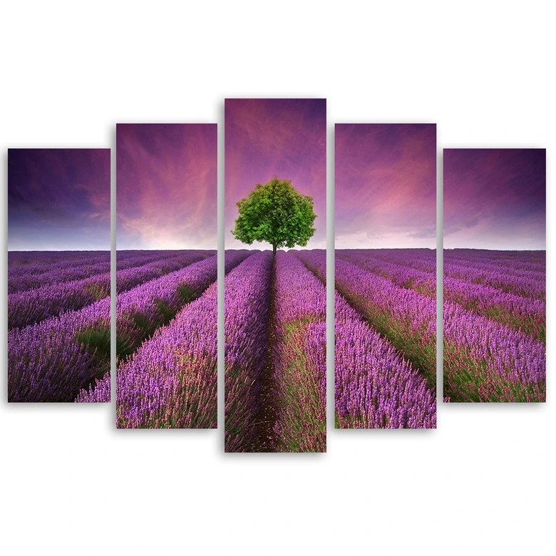 Leinwandbild 5 teilig, Lila Wiese Blumen 