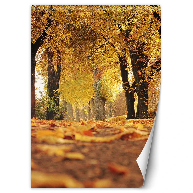 Fototapete, Goldener Polnischer Herbst 